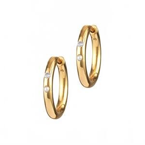 NEW ANNI LU women's brigitte hoops earrings in gold